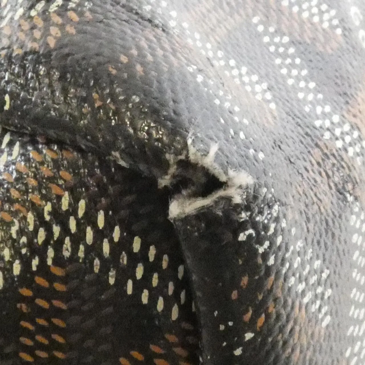 GOYARD Saint Louis AMA LOUIS PM Tote Canvas 3