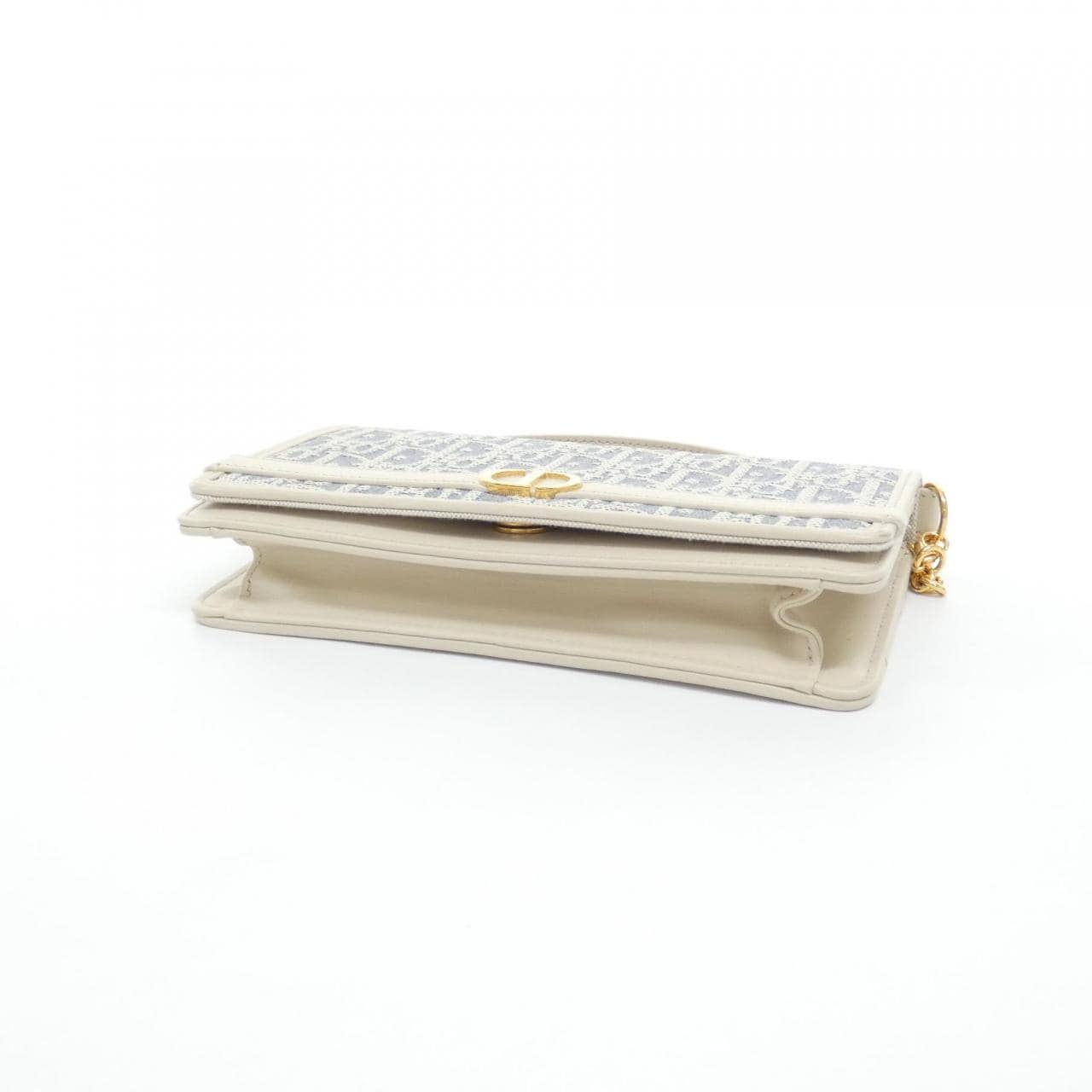 DIOR 30 Montaigne S4302UDFD Pouch Canvas 3