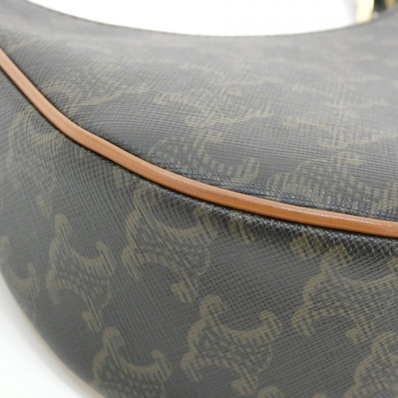 CELINE Ava 193952BZJ Shoulder Canvas 3