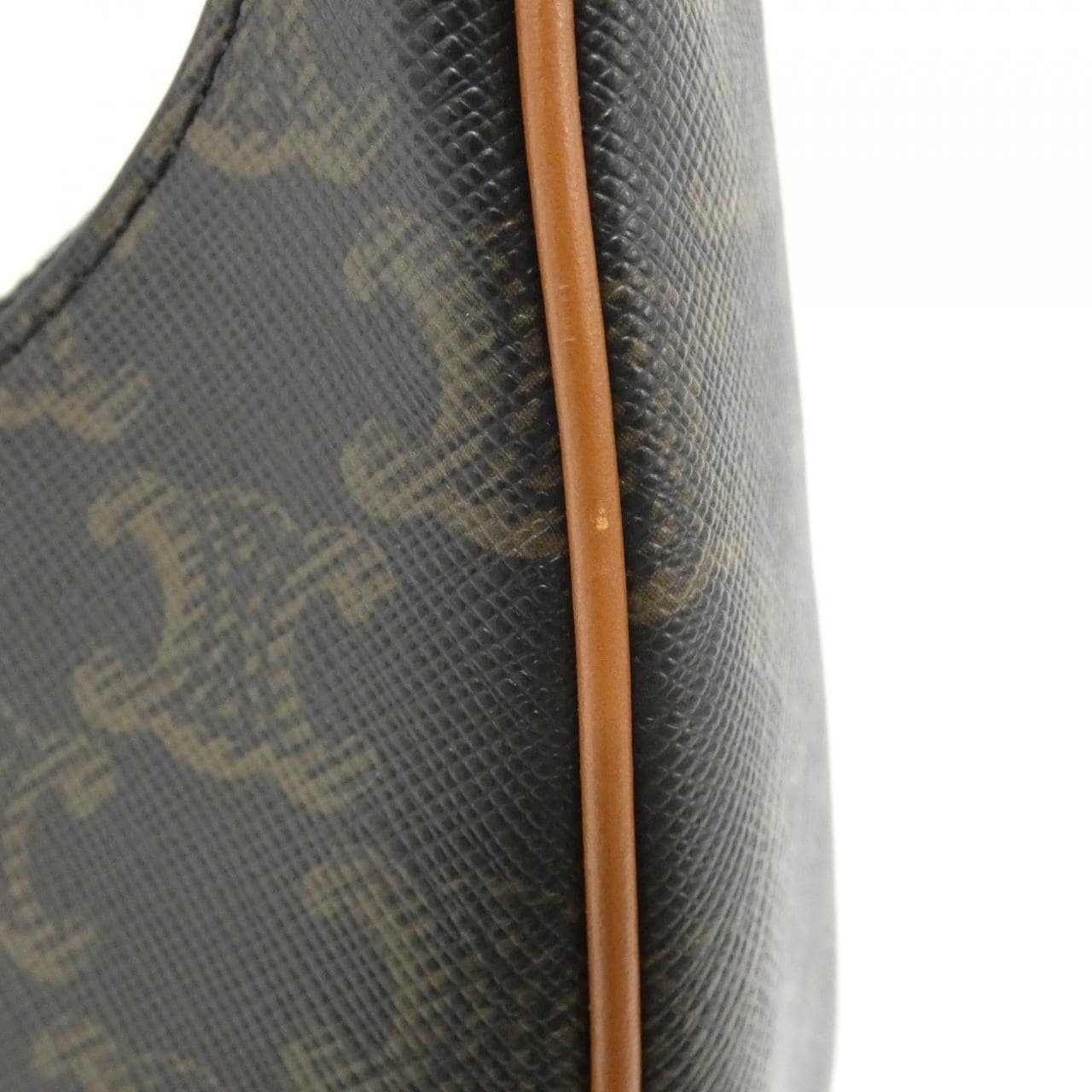 CELINE Ava 193952BZJ Shoulder Canvas 4