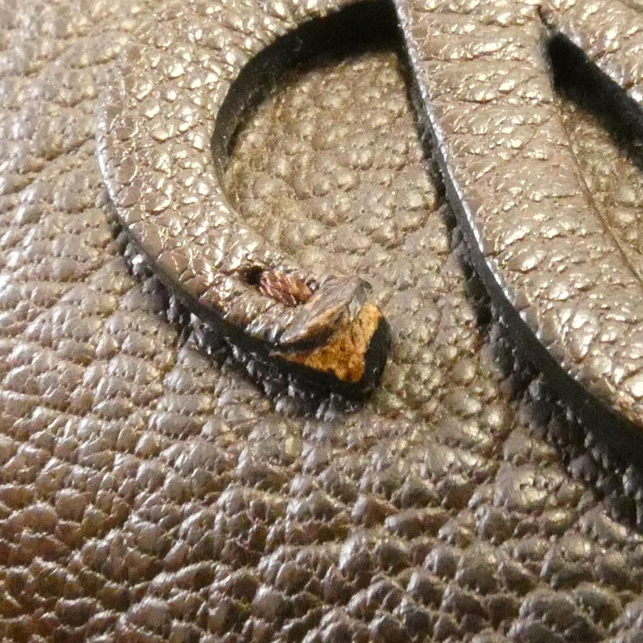 LOEWE Amazona 352 95 A03 Handbag 5