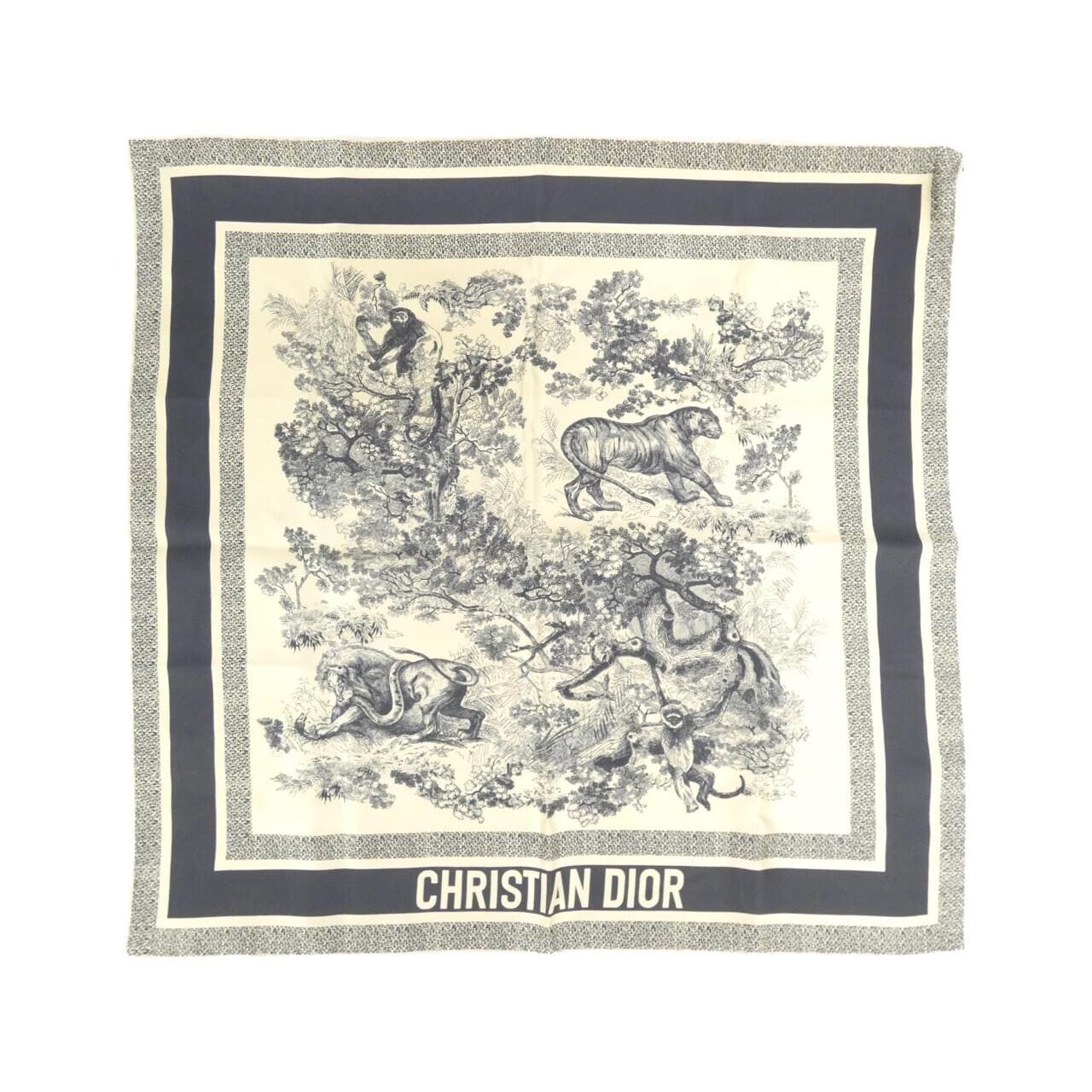 DIOR Scarf