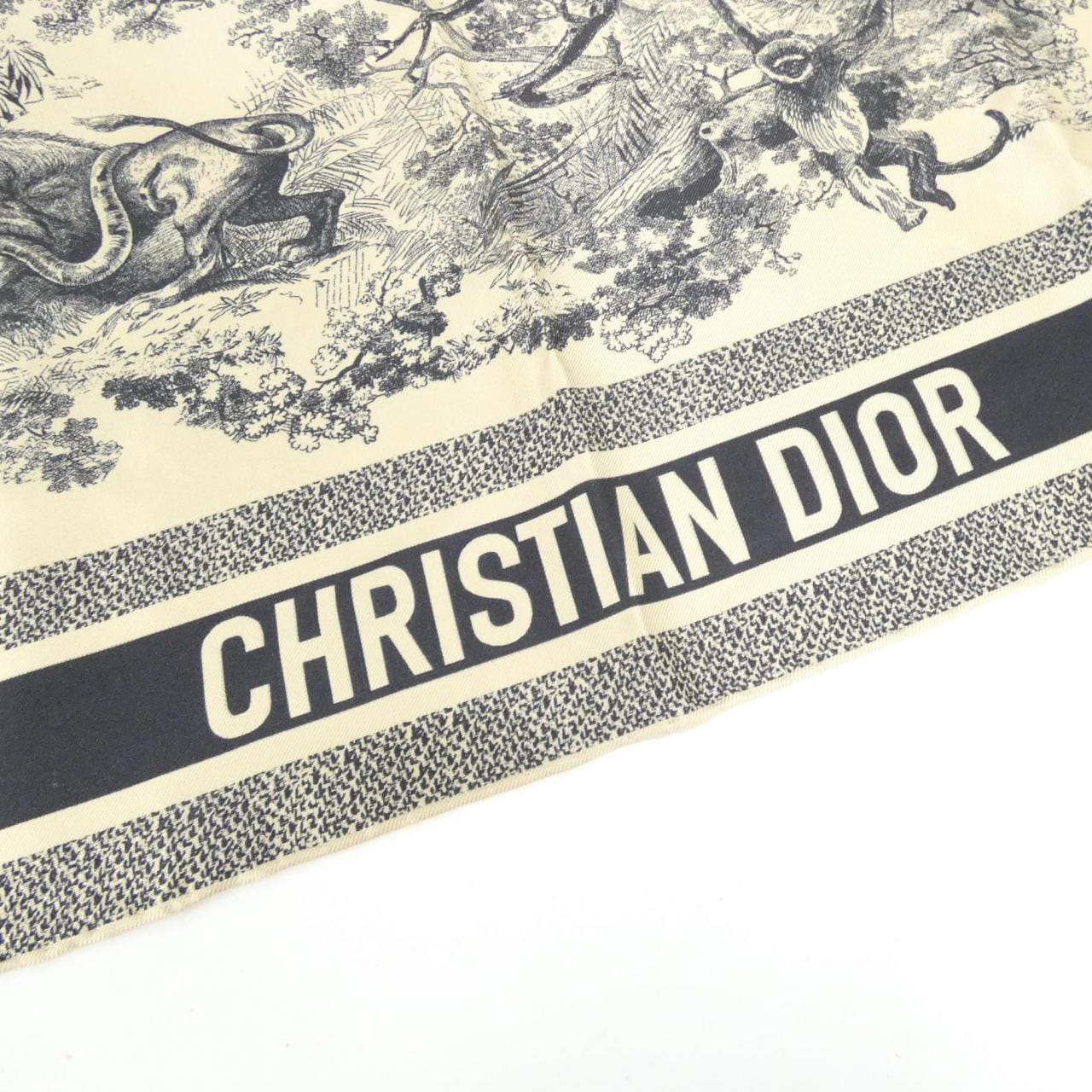 DIOR Scarf 2