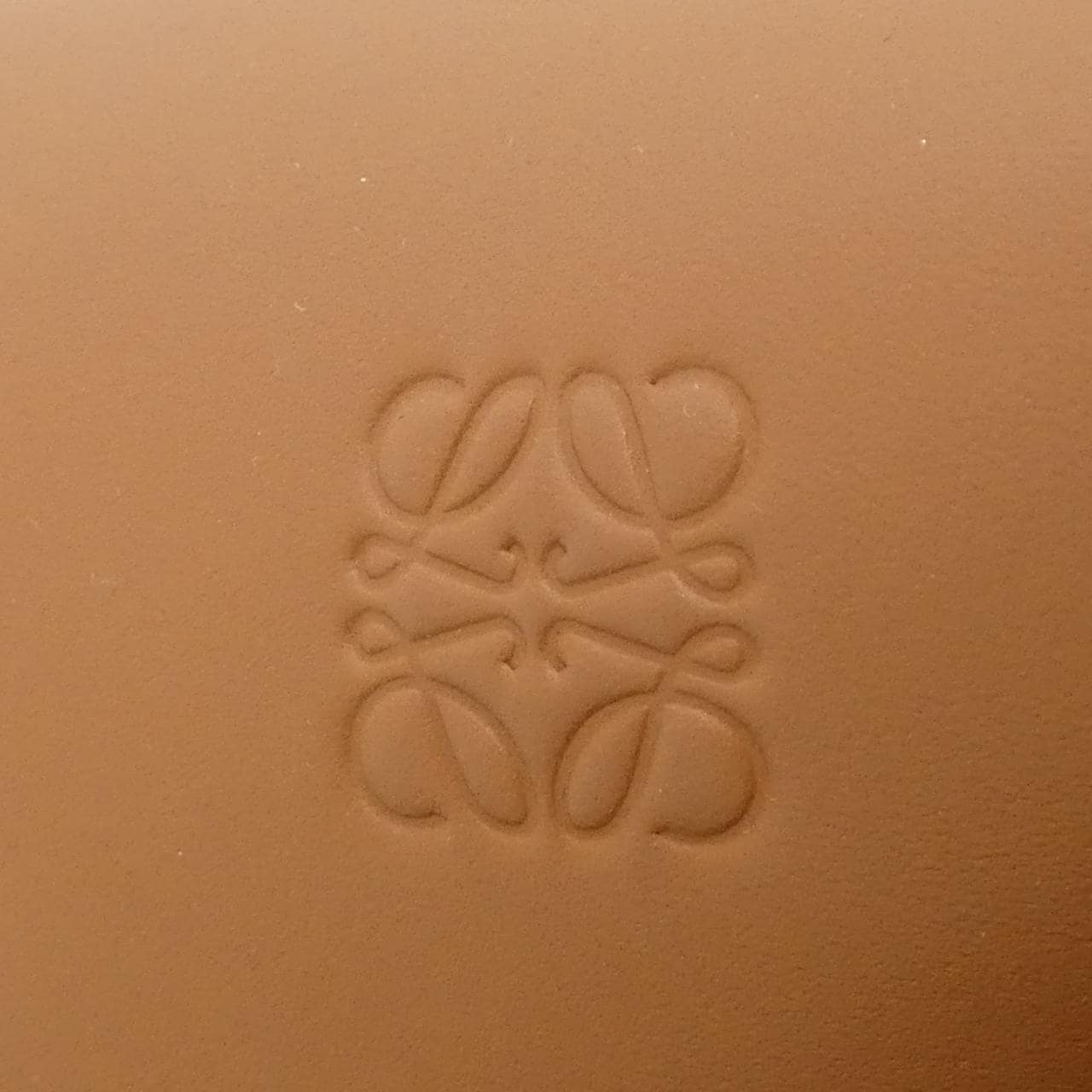 LOEWE Gate A650T20X40 肩背包 帆布 4