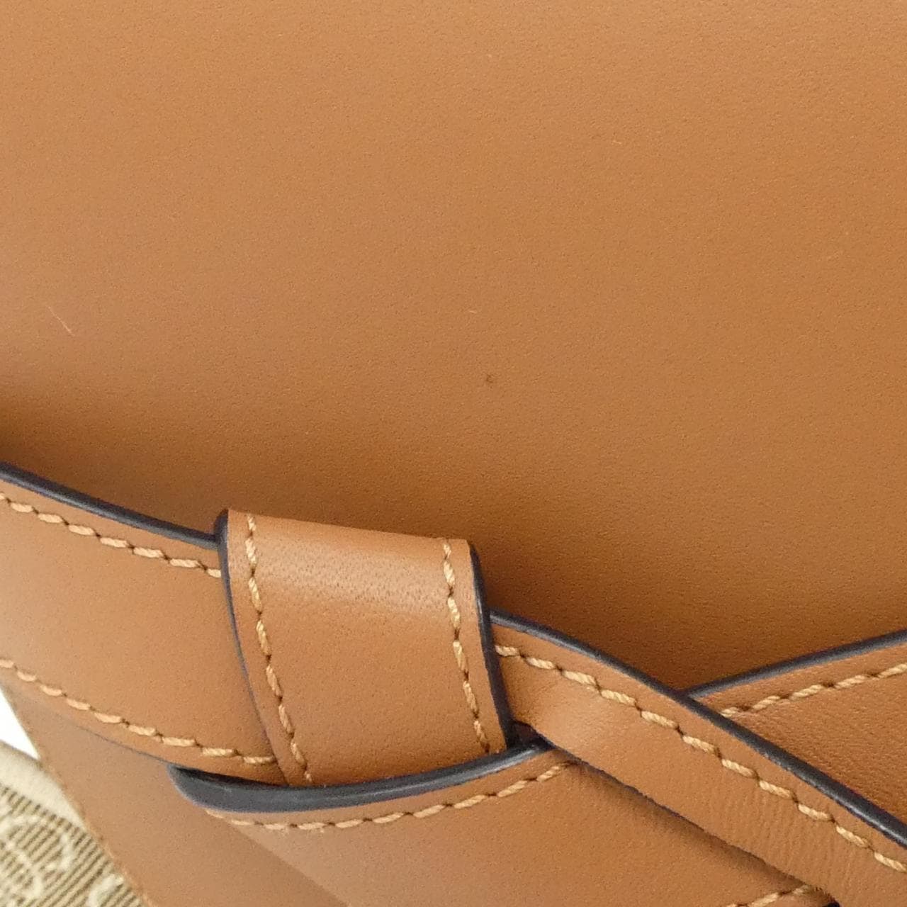 LOEWE Gate A650T20X40 肩背包 帆布 5