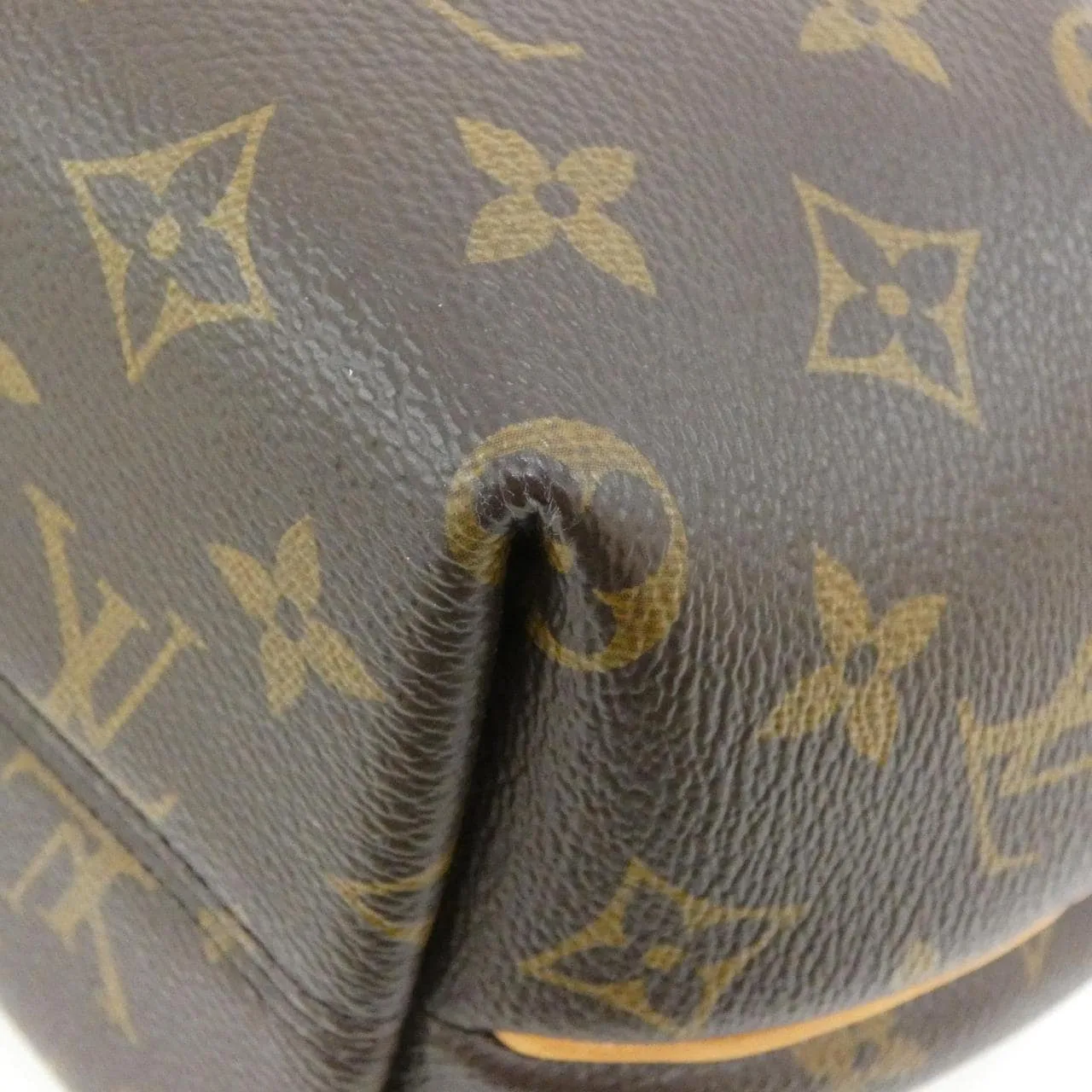 LOUIS VUITTON M48813 手提包 Monogram 3