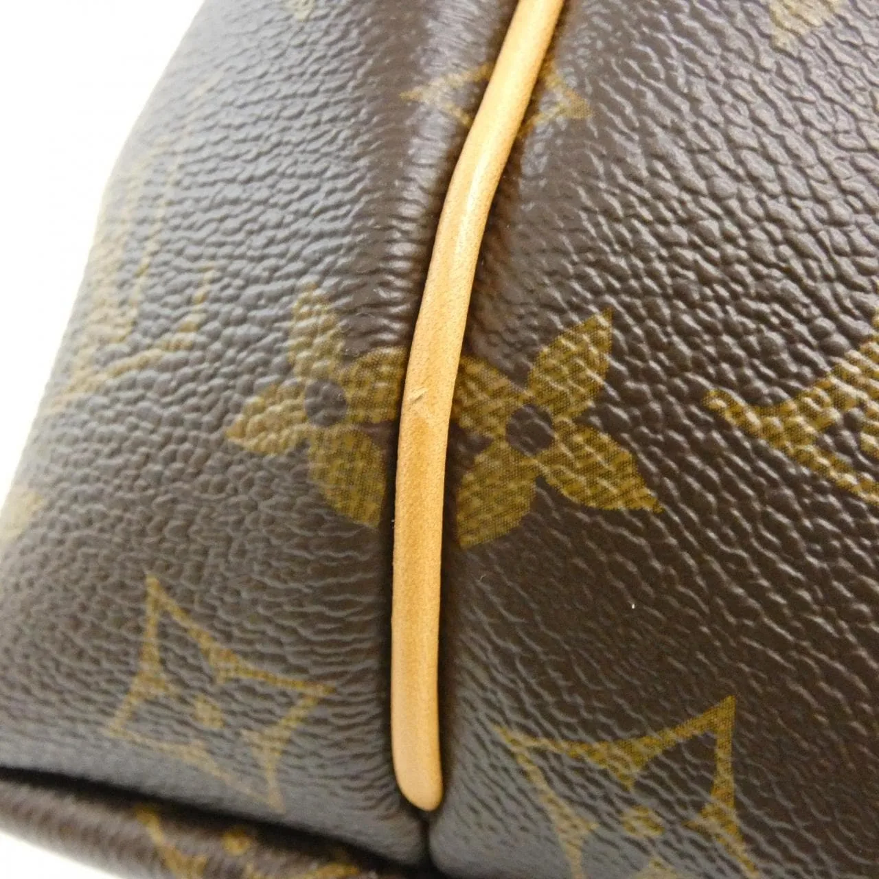 LOUIS VUITTON M48813 手提包 Monogram 4