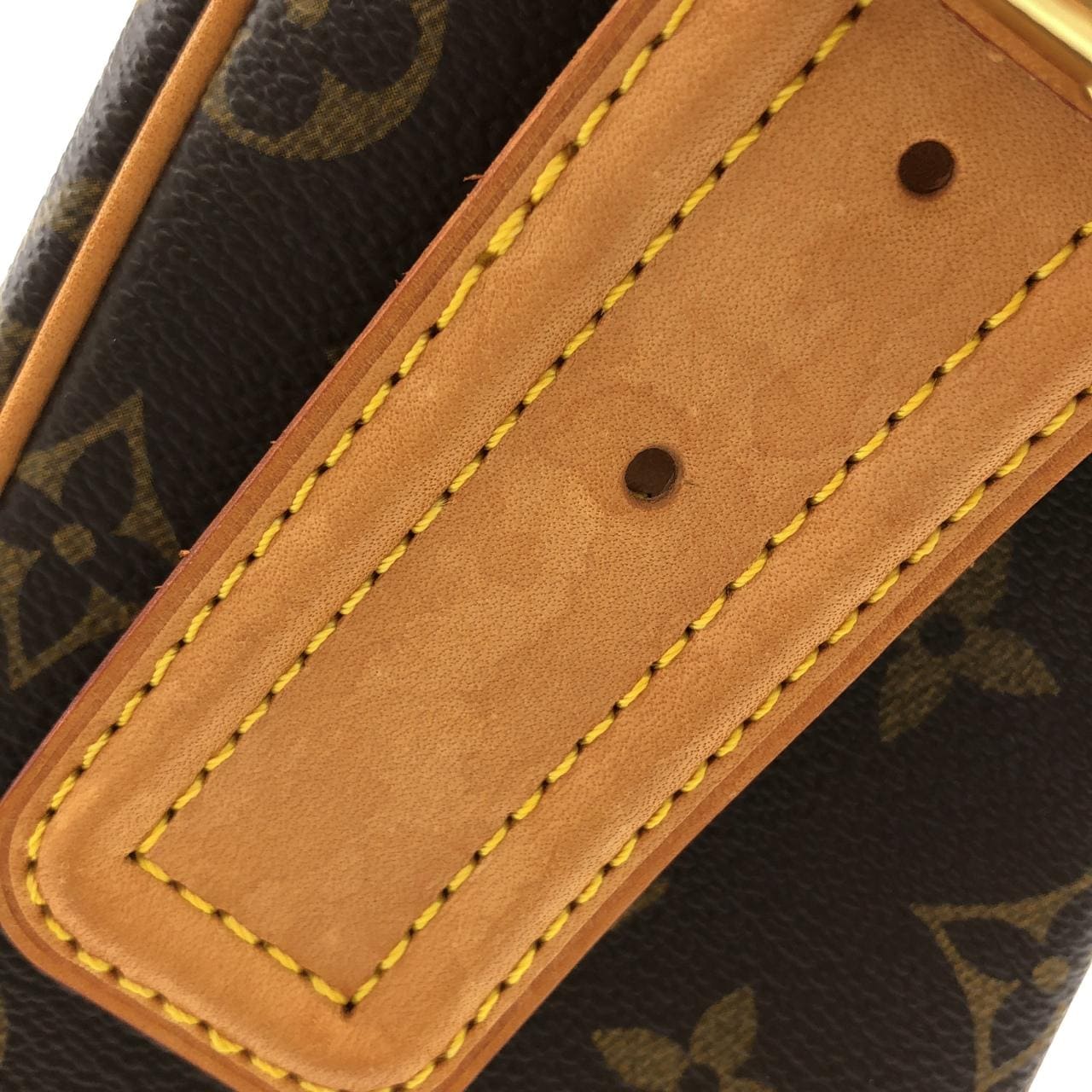 LOUIS VUITTON Viva Cité M51163 Shoulder Monogram 4