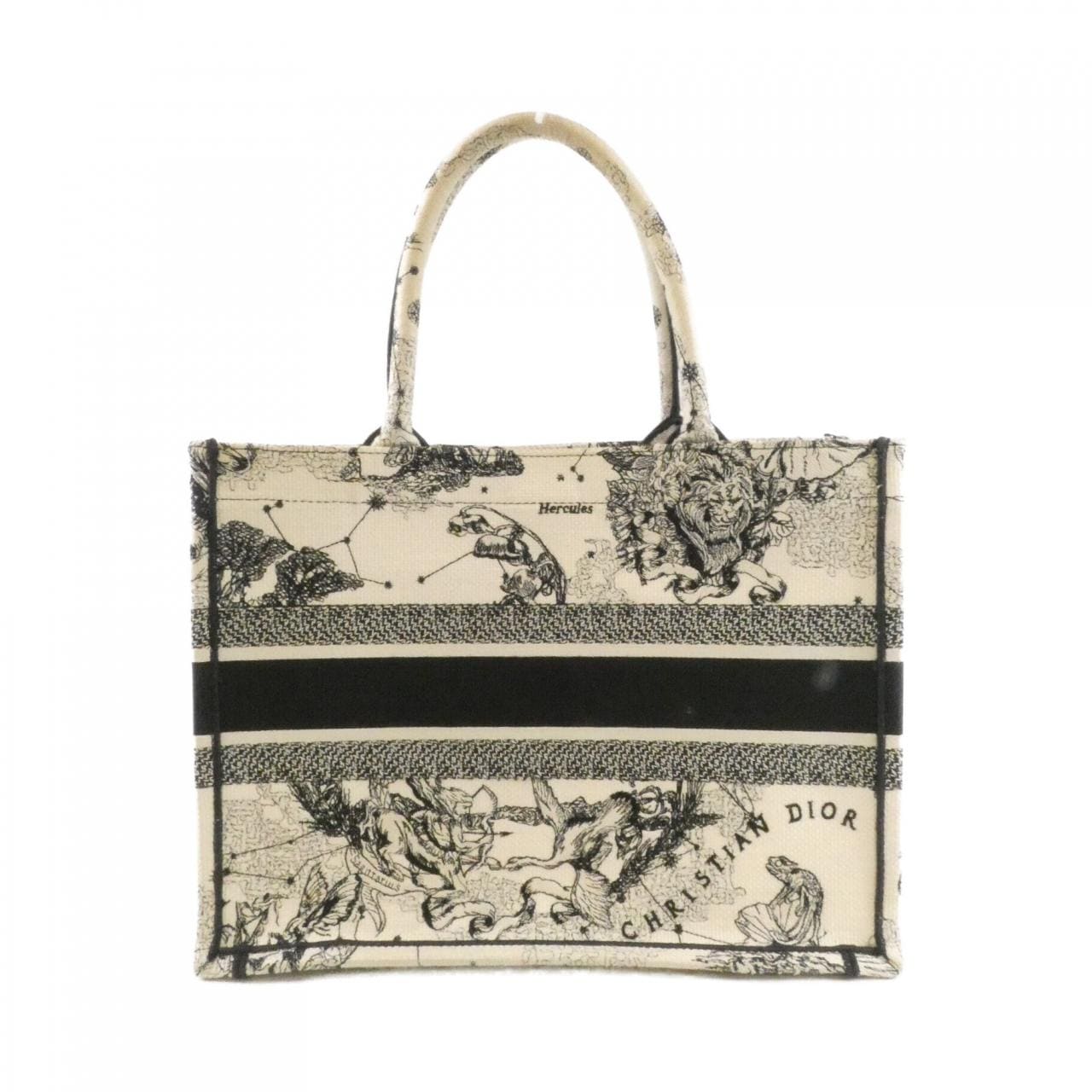 DIOR Book Tote M1296ZRHZ 托特包 帆布 2