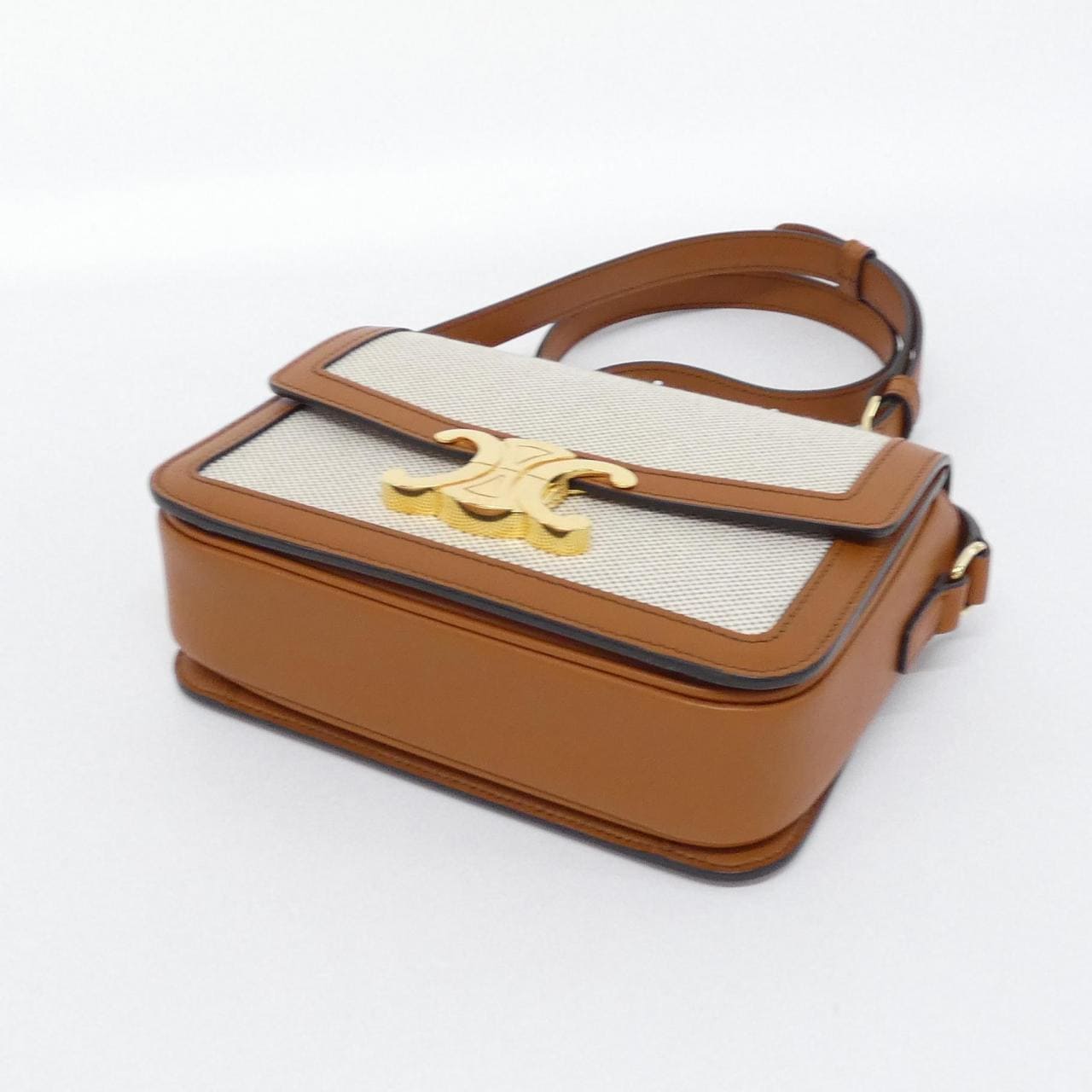 CELINE Triomphe 188882BGI Shoulder Canvas 3