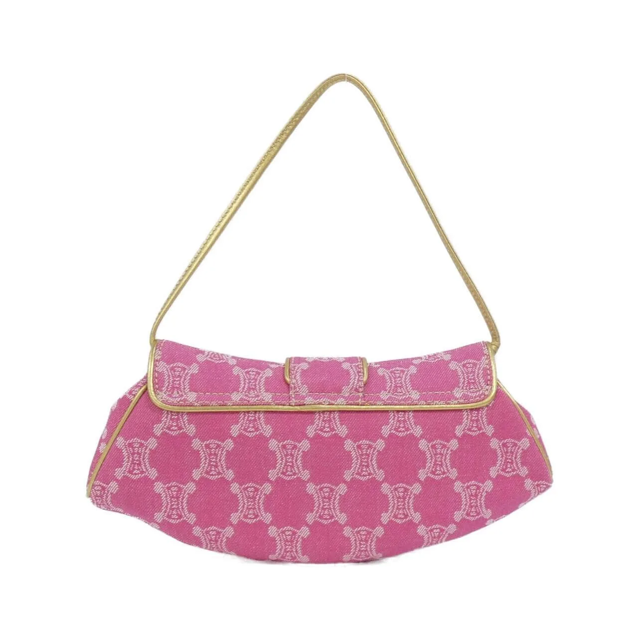 CELINE Handbag Canvas 2