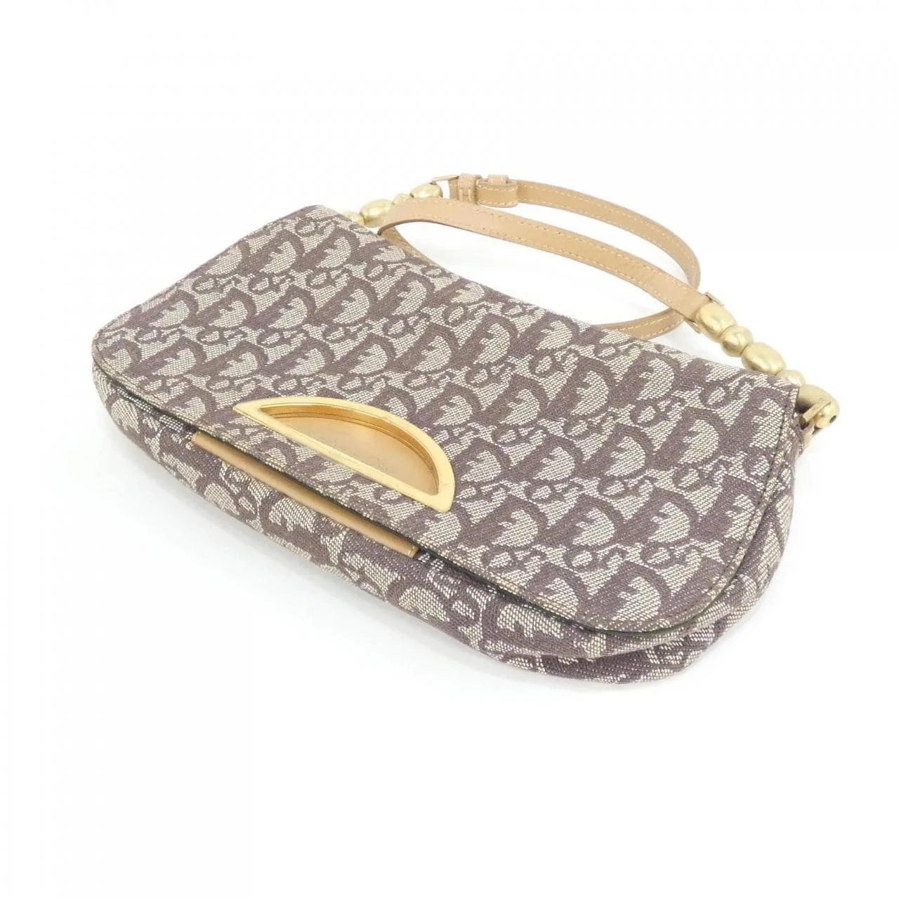DIOR Shoulder Canvas 3