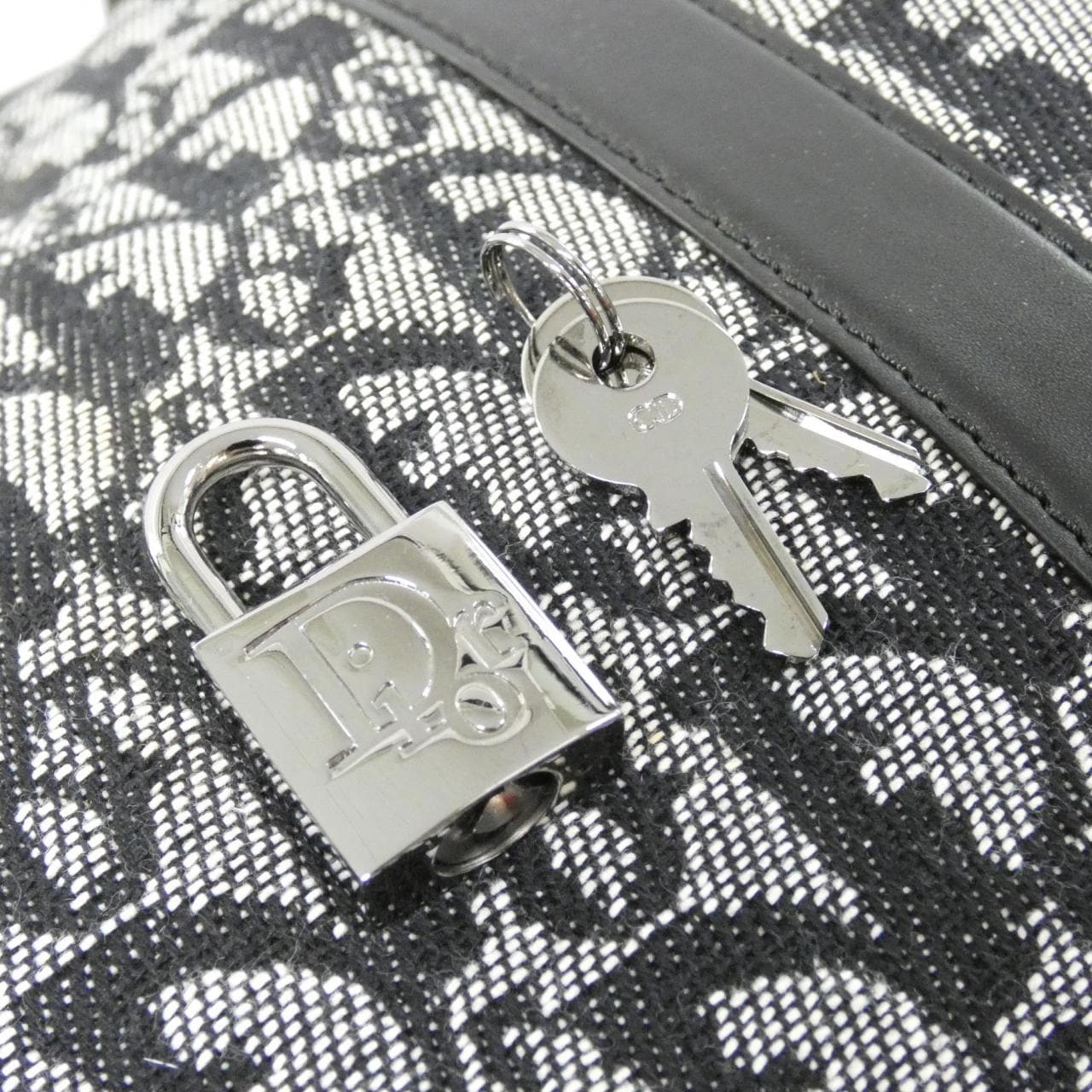 DIOR Boston Canvas 3