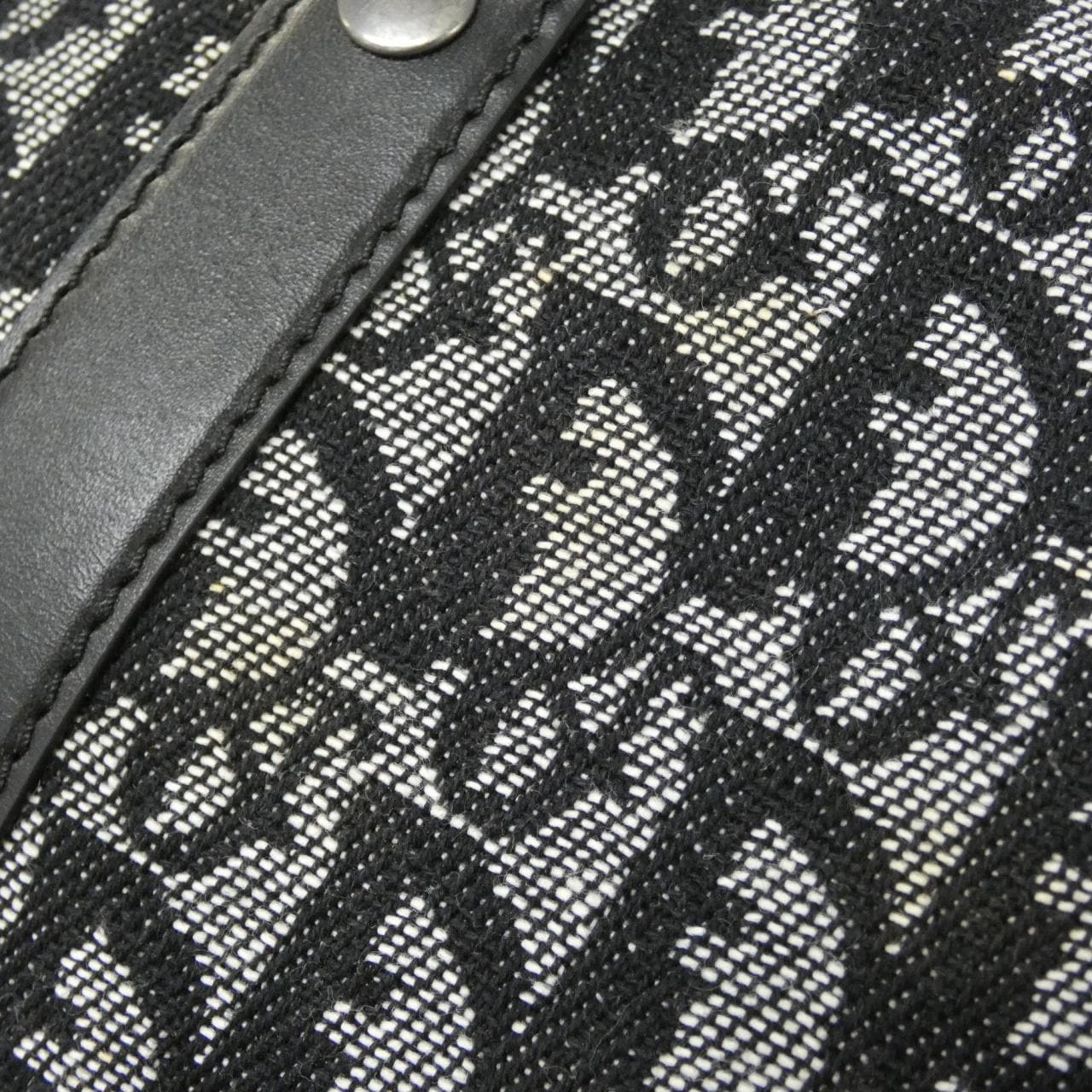 DIOR Boston Canvas 4