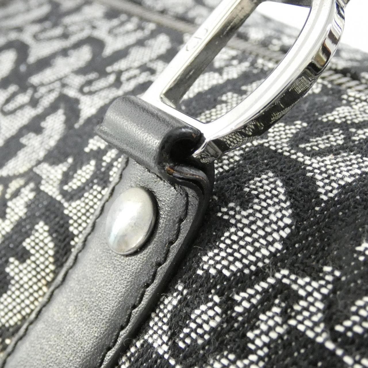 DIOR Boston Canvas 5