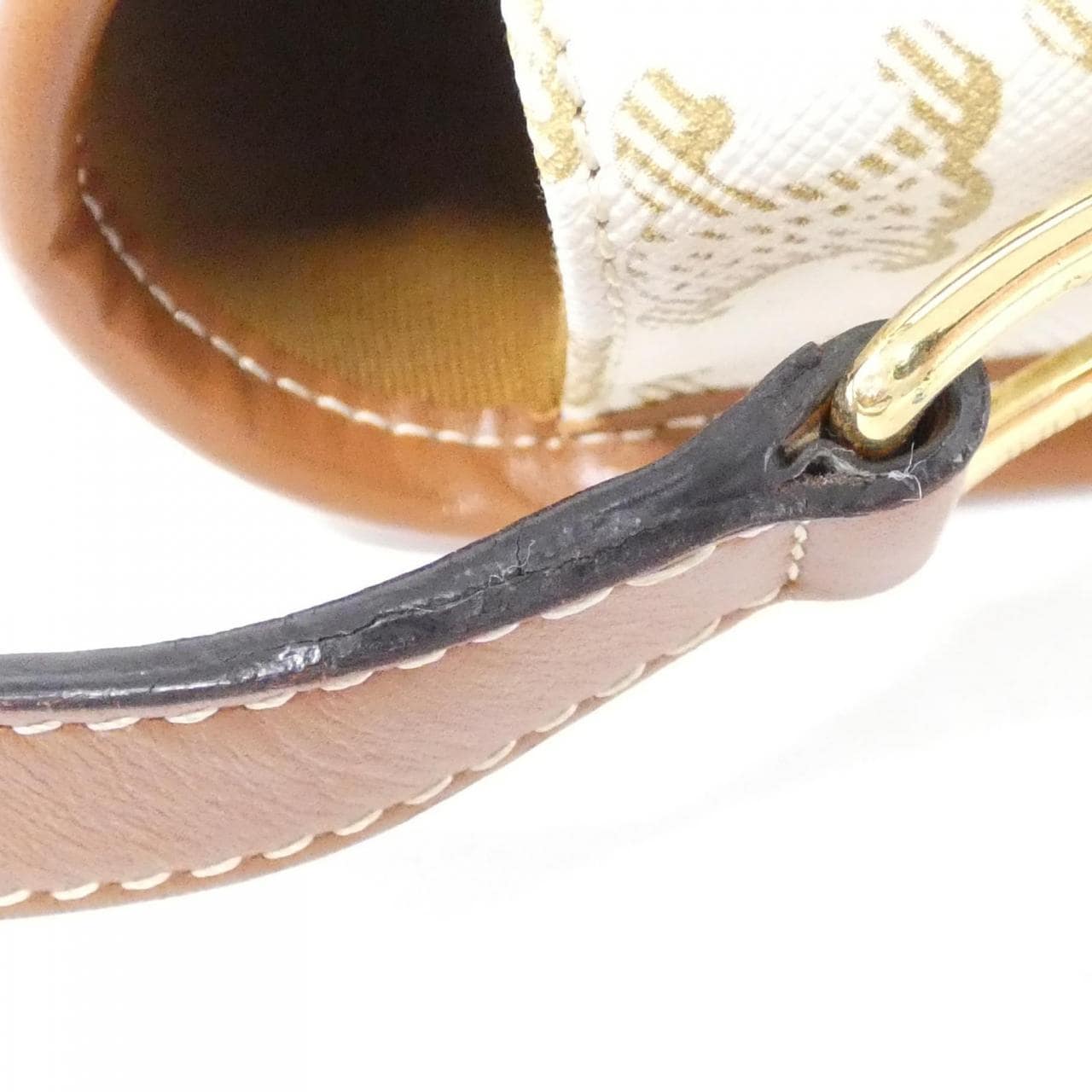 CELINE Triomphe 191502BZJ 肩背包 帆布 5