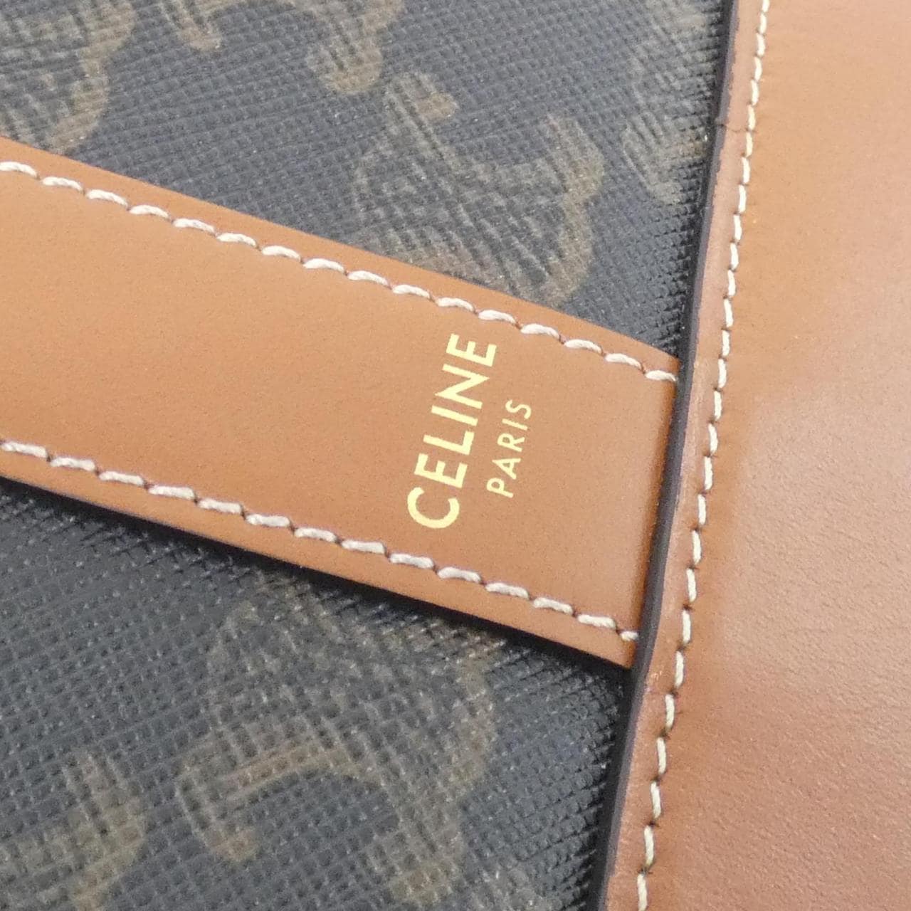 CELINE Triomphe 191442CAS Shoulder Canvas 5