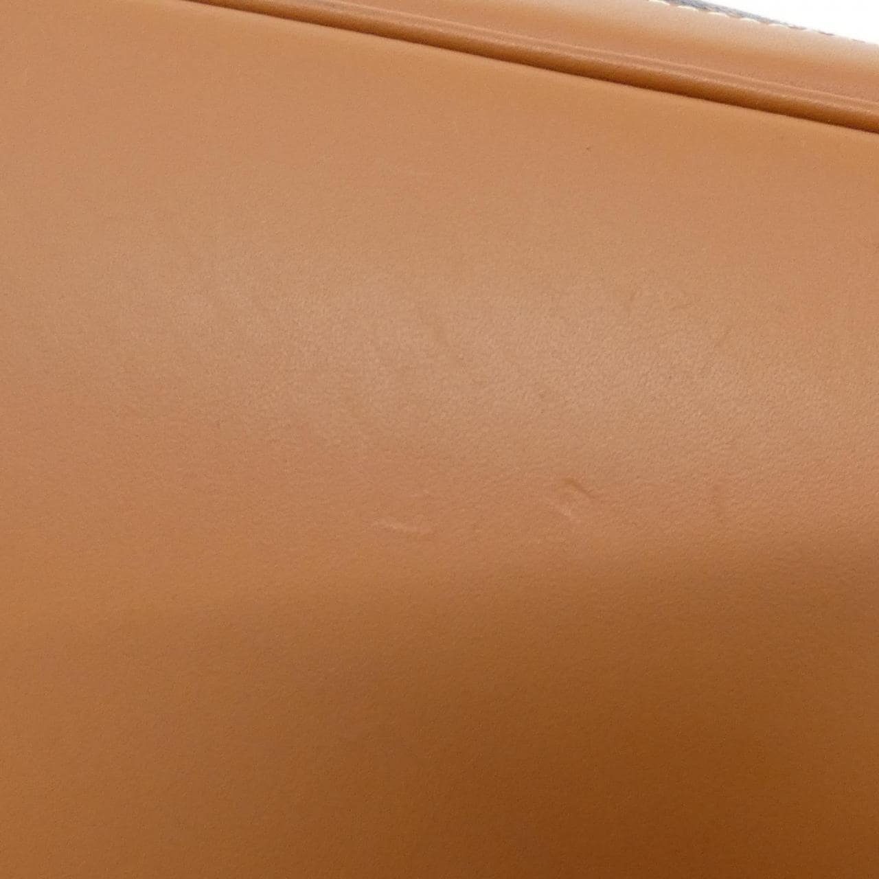 GOYARD AMA SAC DOS ALPIN Backpack Canvas 4