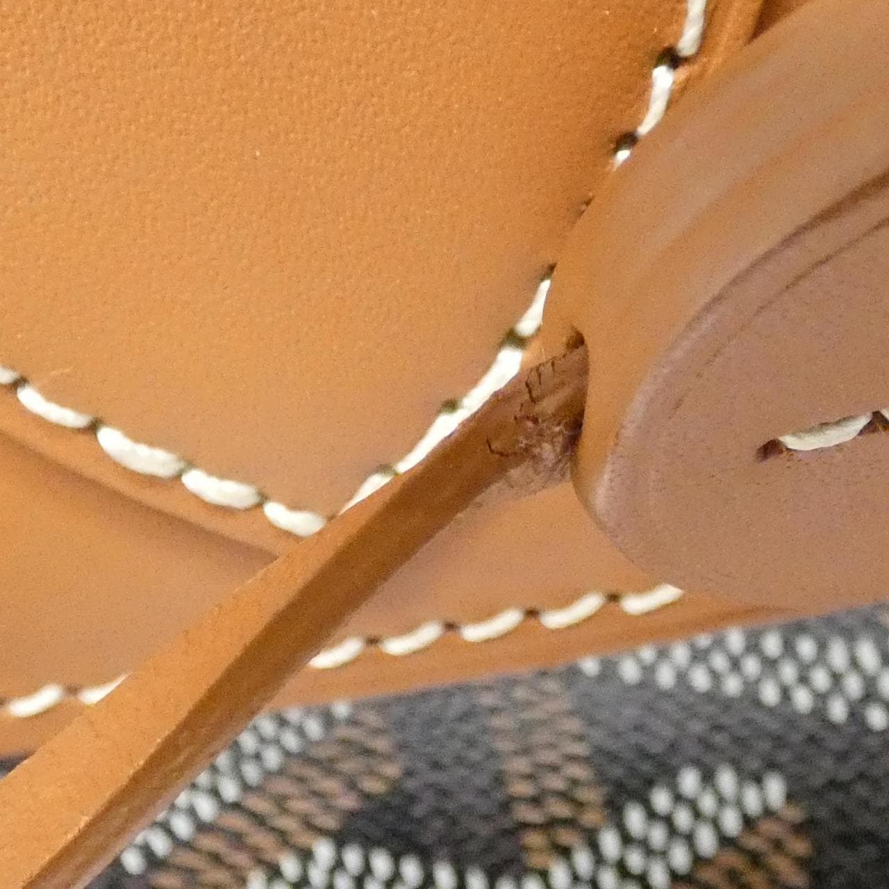 GOYARD AMA SAC DOS ALPIN Backpack Canvas 5