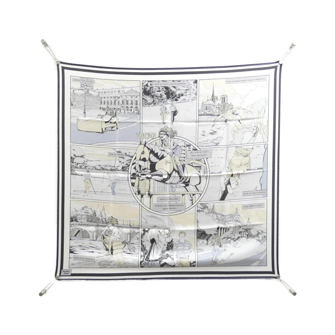 HERMES Scarf 2