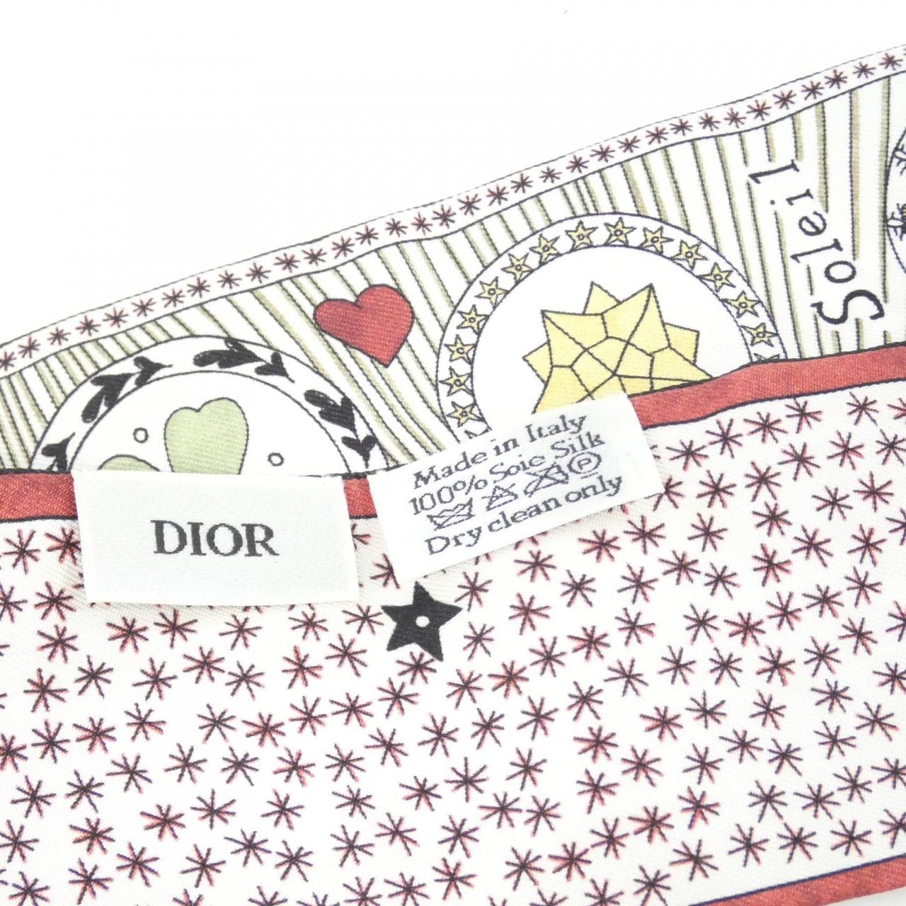DIOR Scarf 5