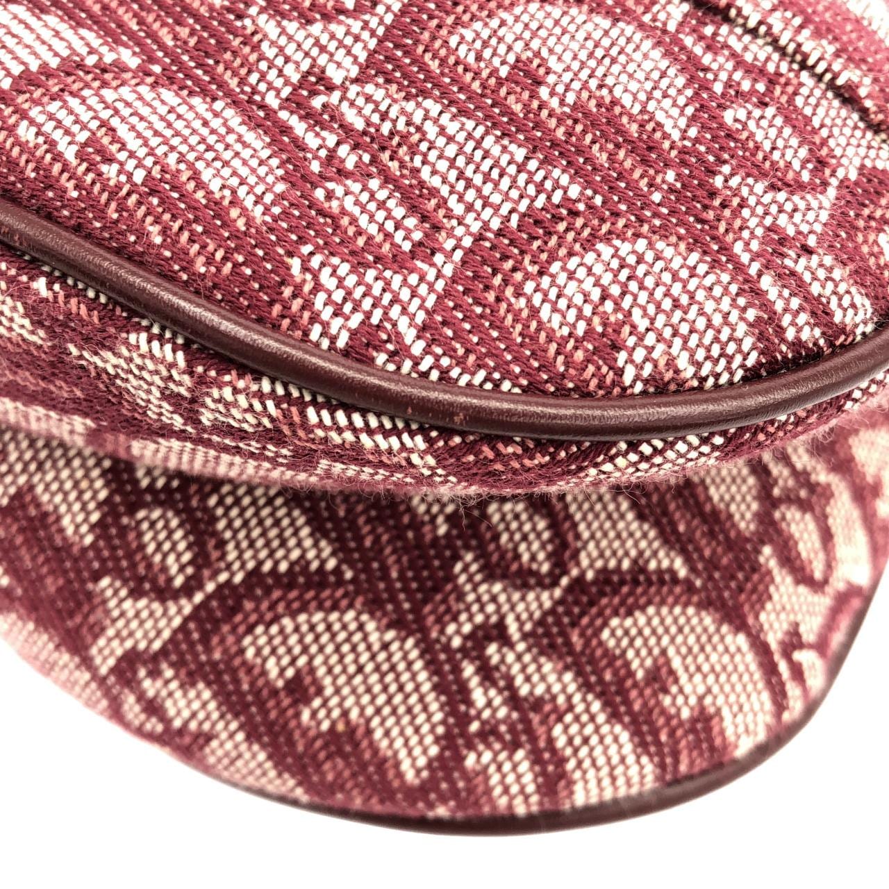 DIOR Shoulder Canvas 3