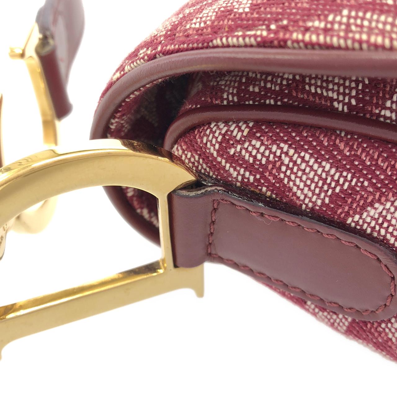 DIOR Shoulder Canvas 4