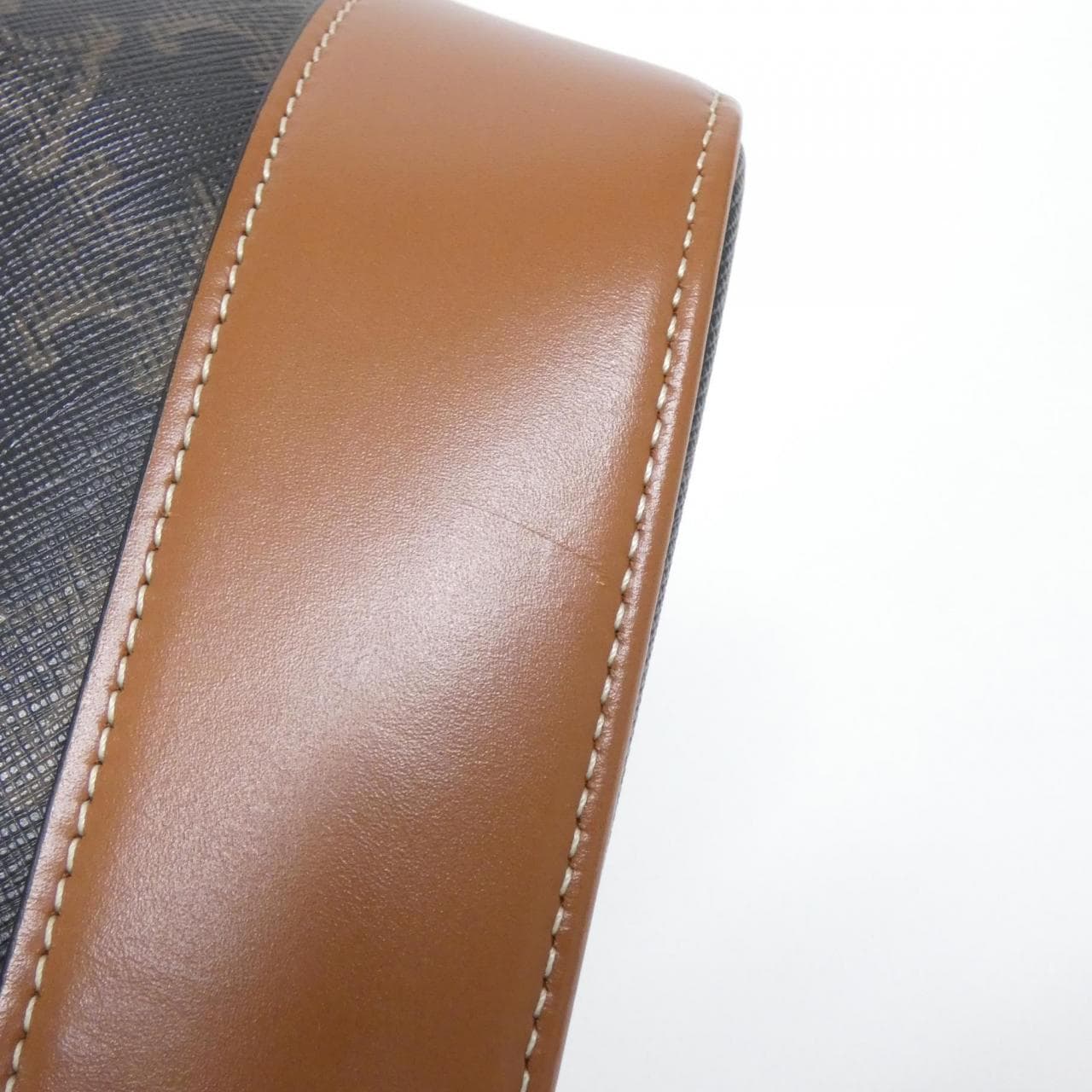 CELINE Triomphe 191132CAS Shoulder Canvas 4