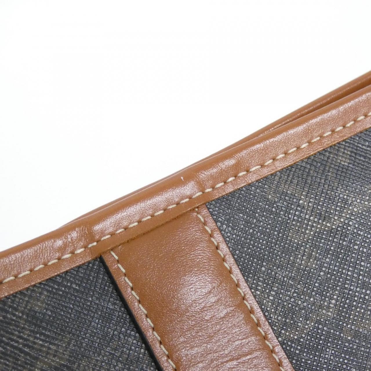 CELINE Triomphe 191132CAS Shoulder Canvas 5