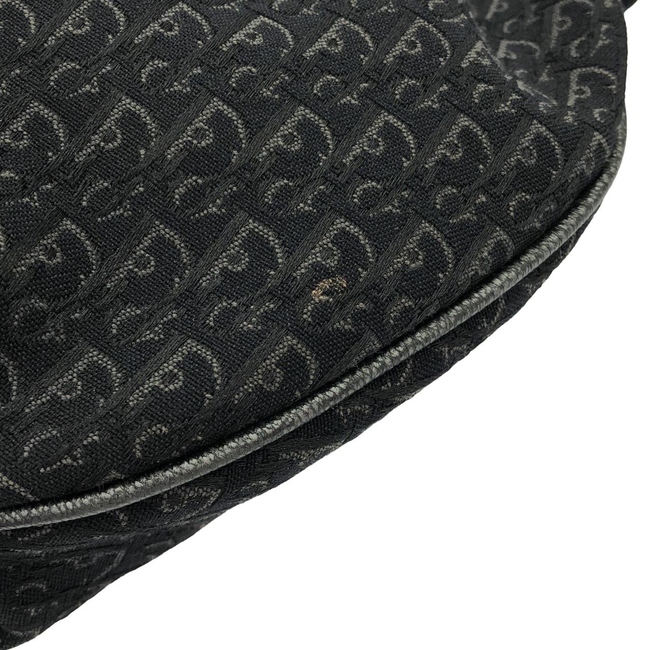DIOR Shoulder Canvas 2