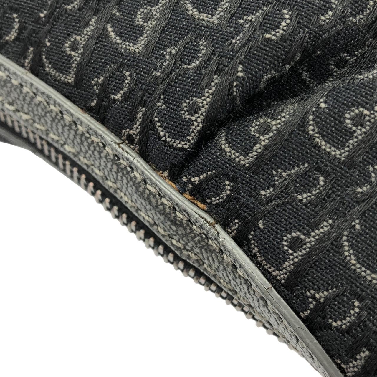 DIOR Shoulder Canvas 3
