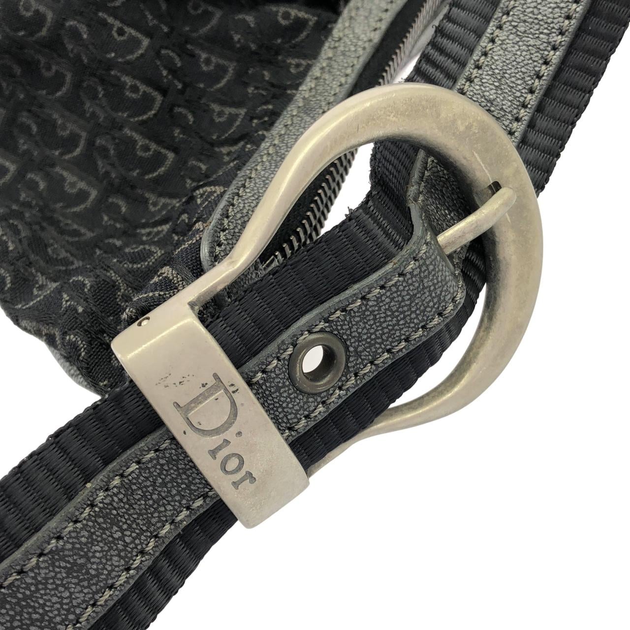 DIOR Shoulder Canvas 4