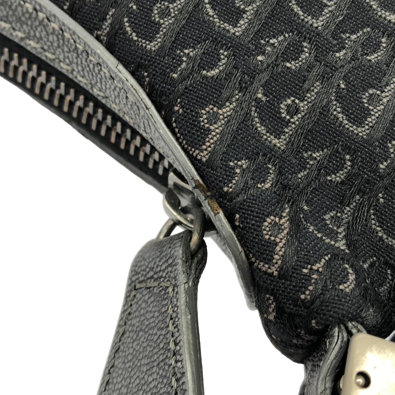 DIOR Shoulder Canvas 5