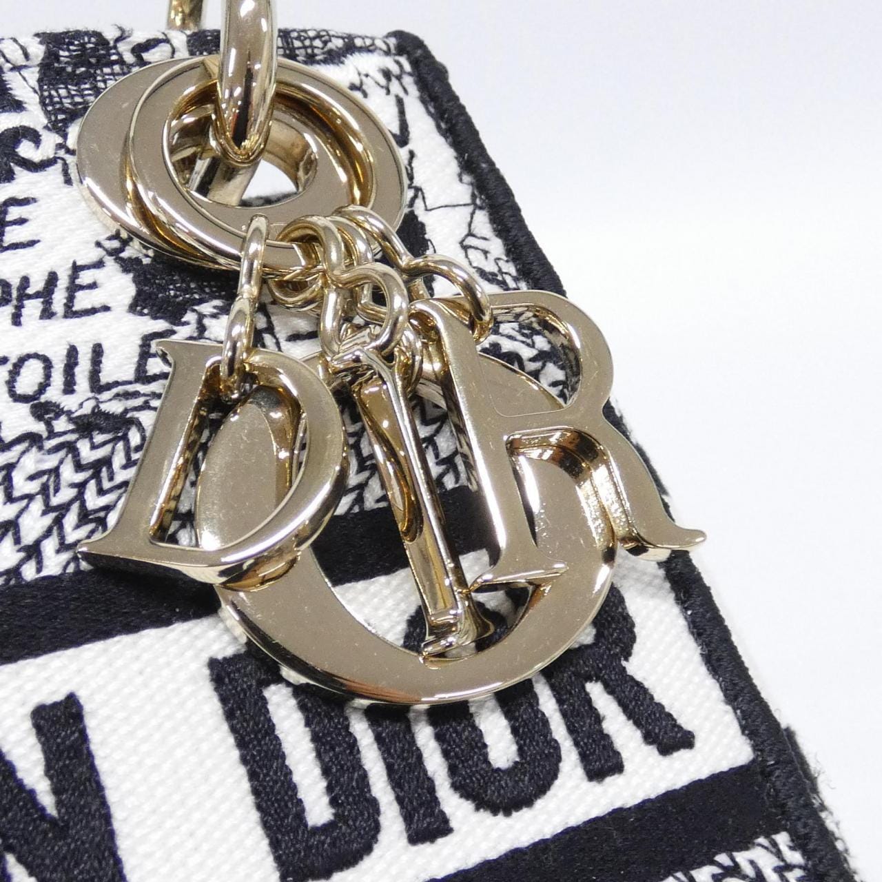 DIOR Lady Dior M0500 OOMP 手提包 帆布 4