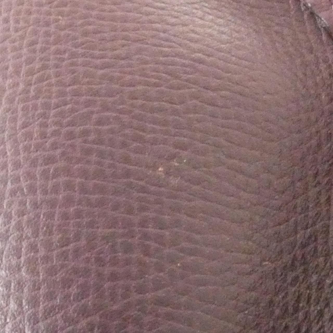 HERMES Evelyne 041031CC 肩背包 Epsom 4