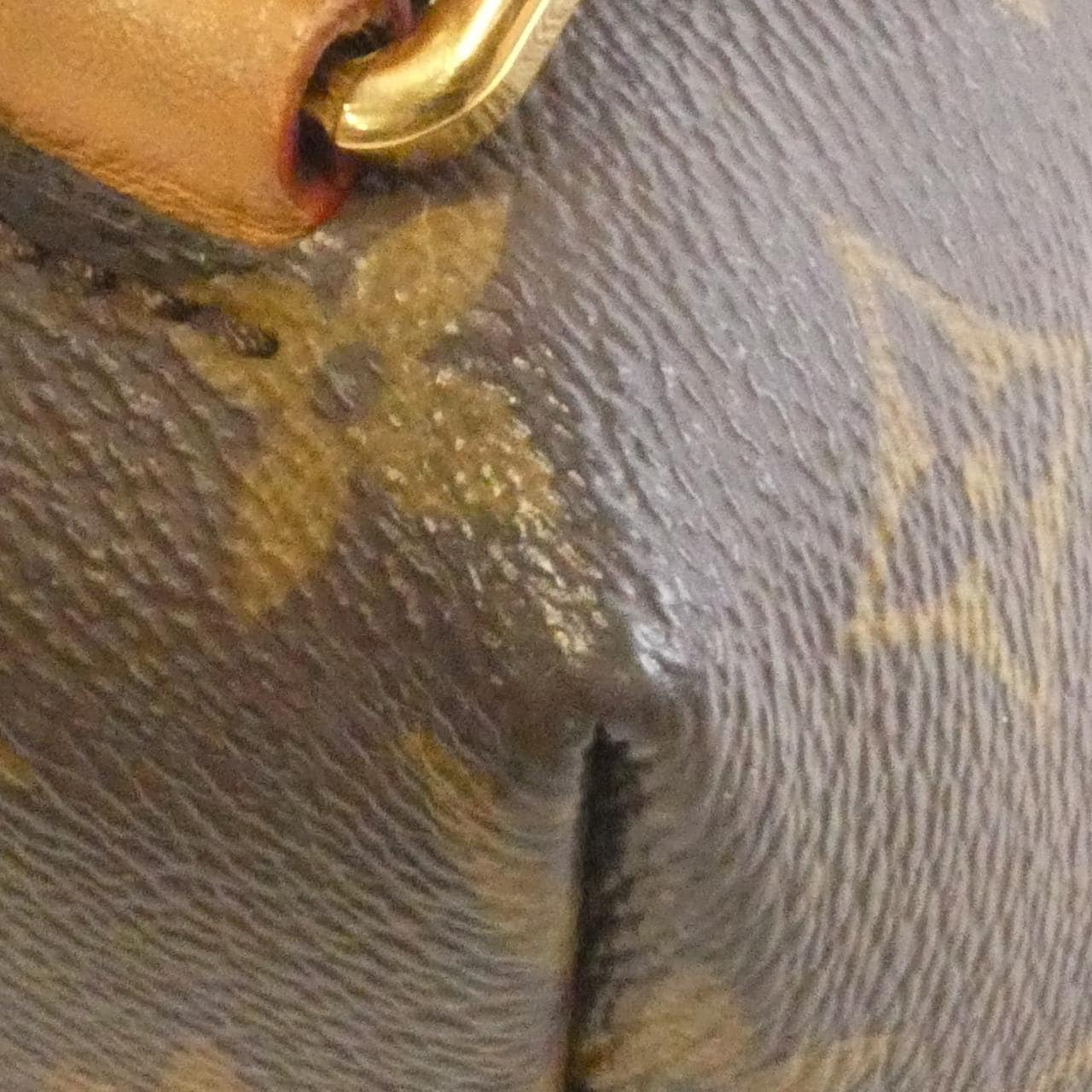 LOUIS VUITTON Montsouris M45501 背包 Monogram 4