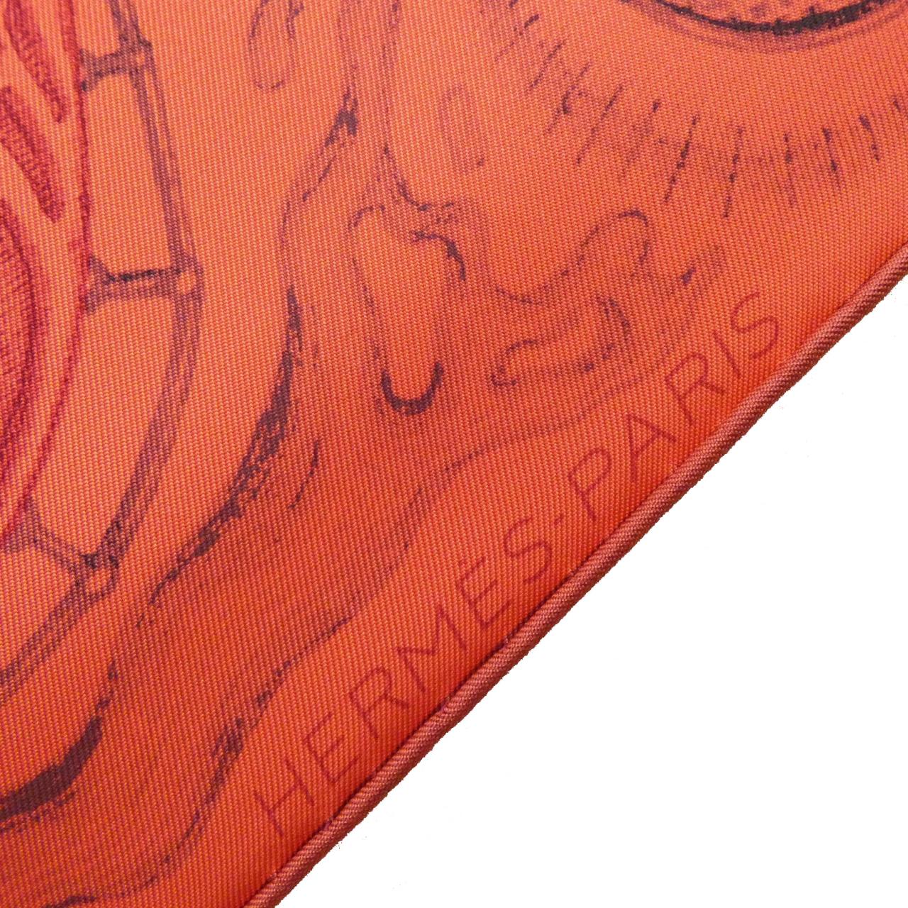HERMES Scarf 2