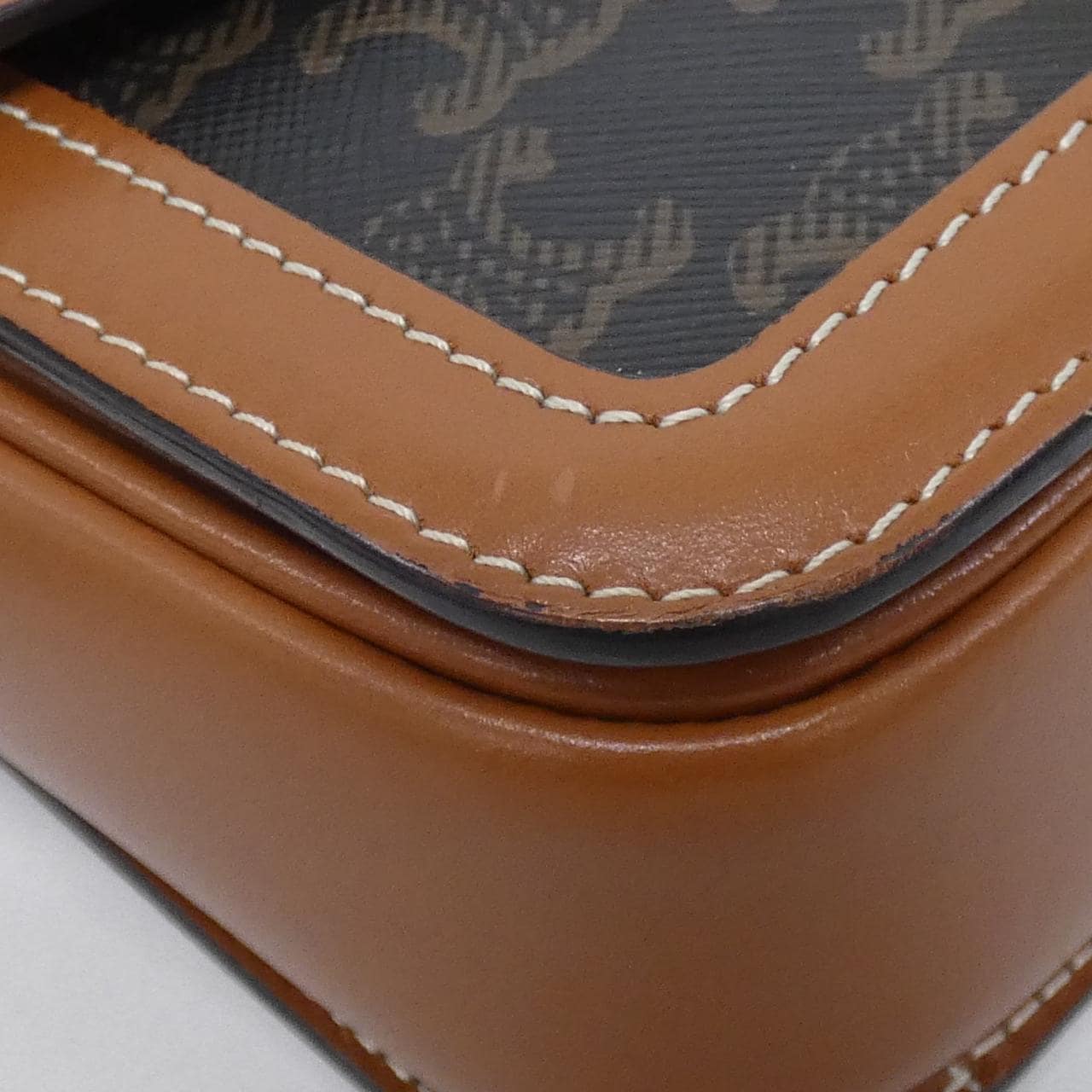 CELINE Triomphe 188882BZ4 Shoulder Canvas 3