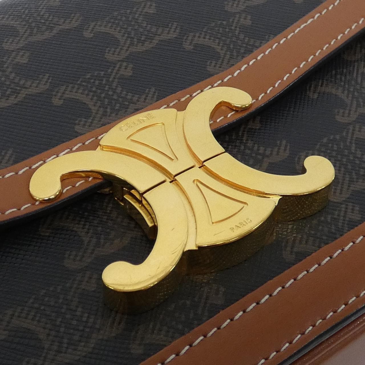 CELINE Triomphe 188882BZ4 Shoulder Canvas 5