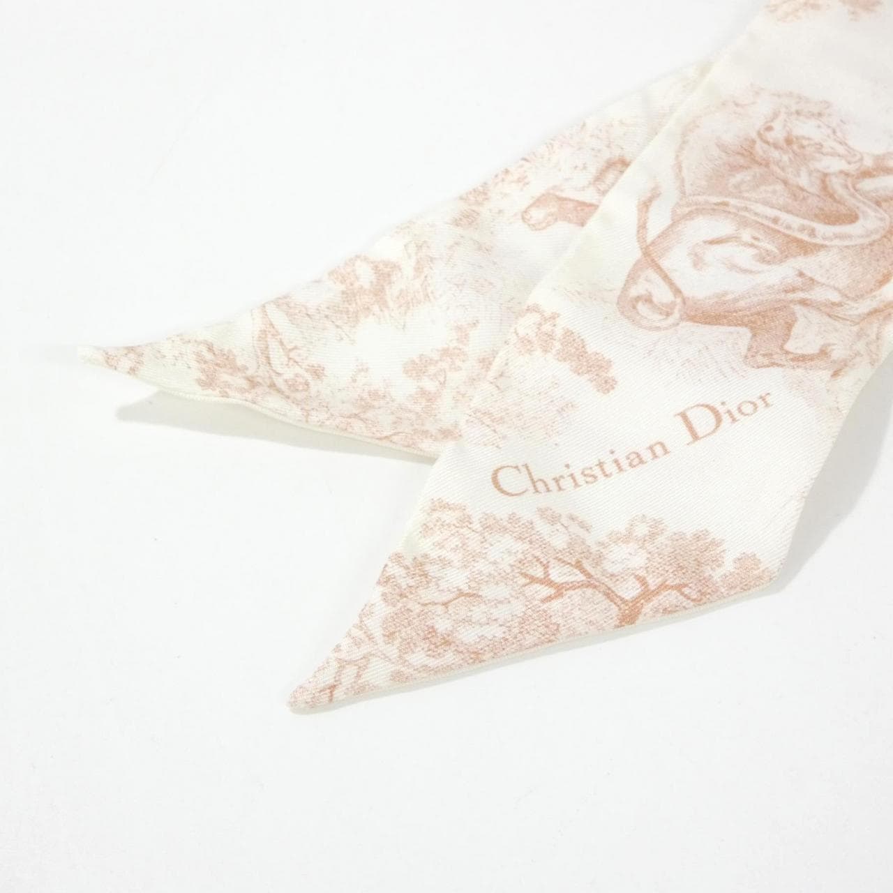 DIOR 94TOJ106I600 Scarf 2