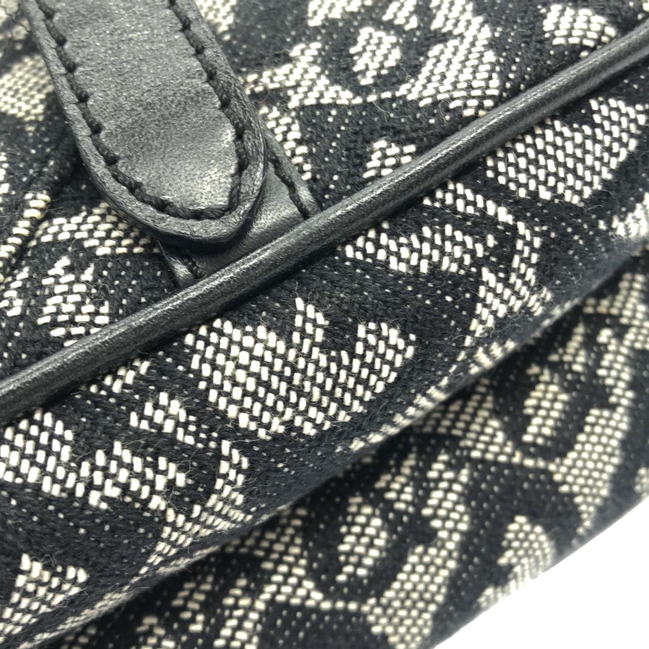 DIOR Saddle SLO44001 Shoulder Canvas 3