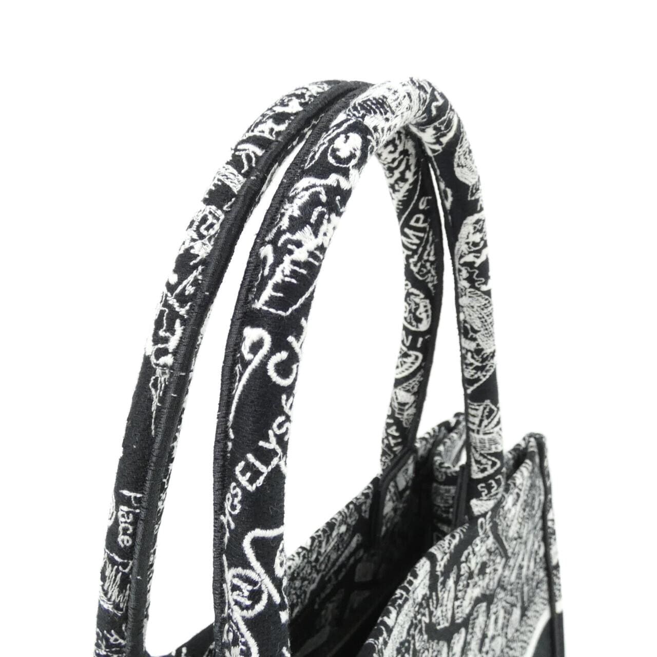 DIOR Book Tote M1296ZOMP 托特包 帆布 3