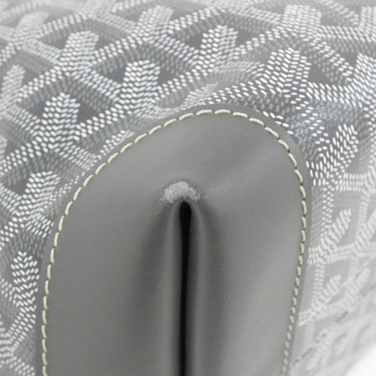 GOYARD Handbag Canvas 3