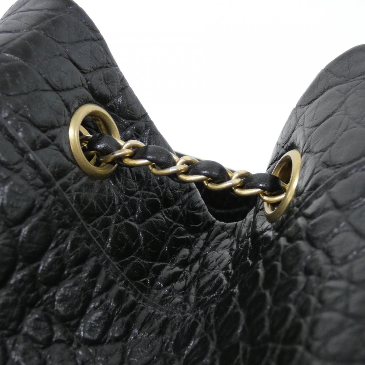 CHANEL AS0800 背包 鱷魚皮 5