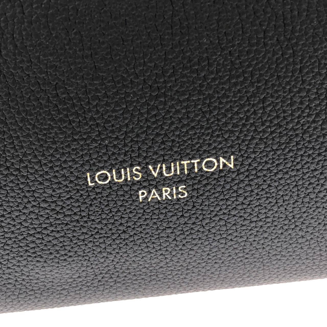 LOUIS VUITTON M29195 肩背包 4