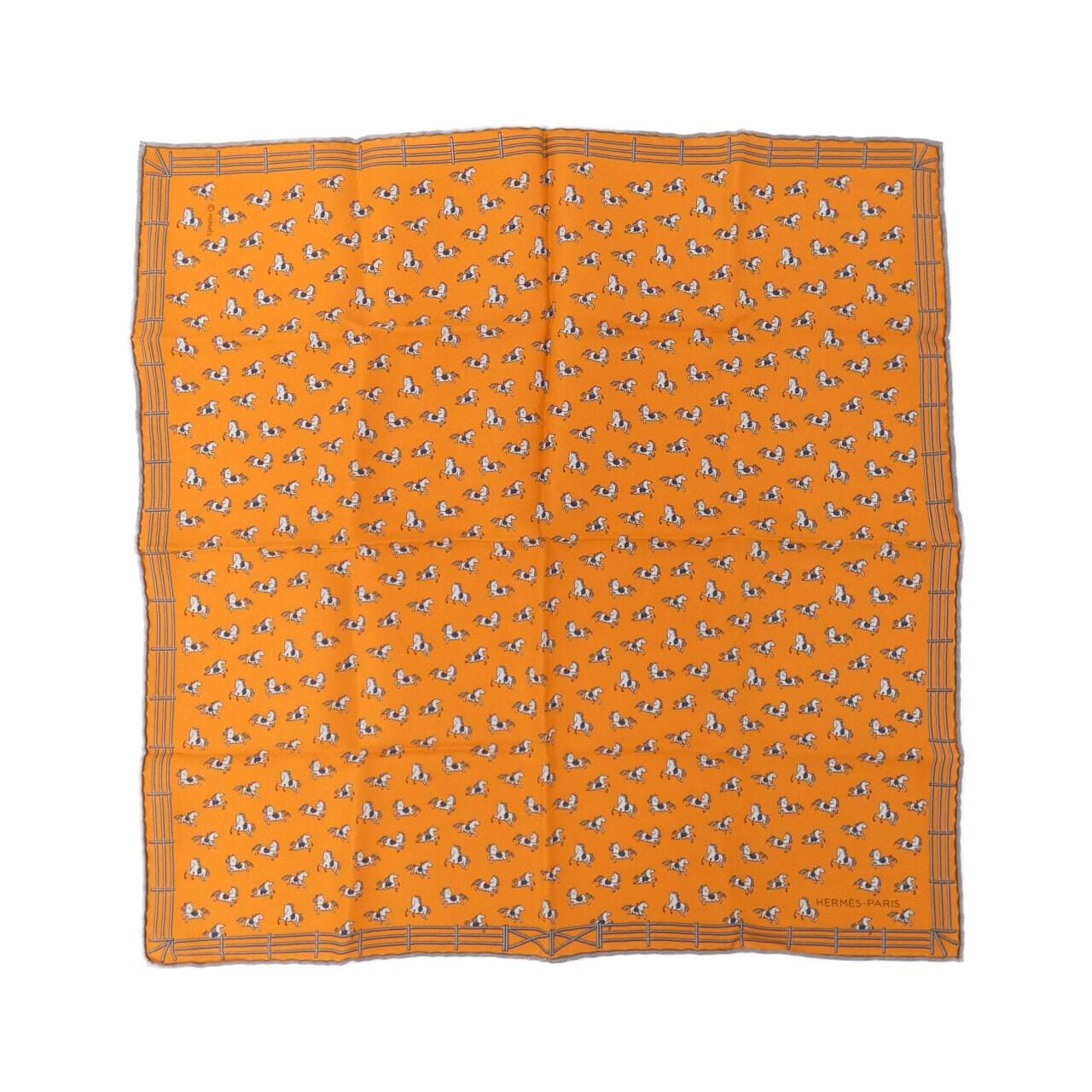 HERMES Scarf