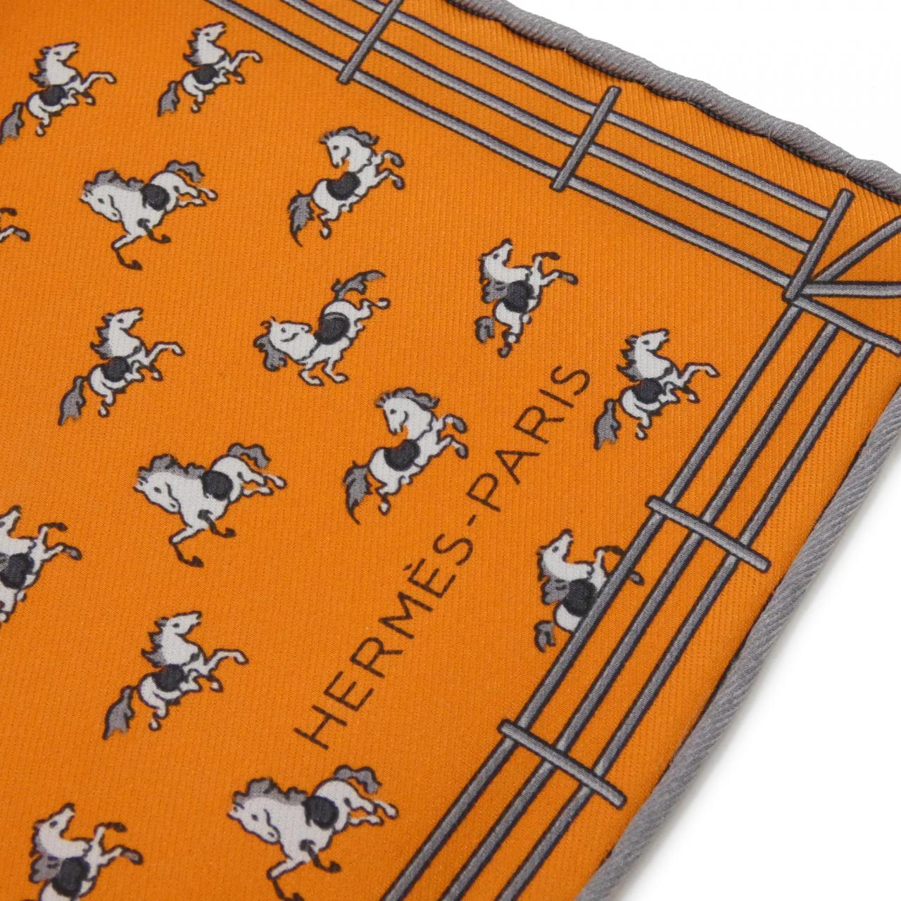 HERMES Scarf 2