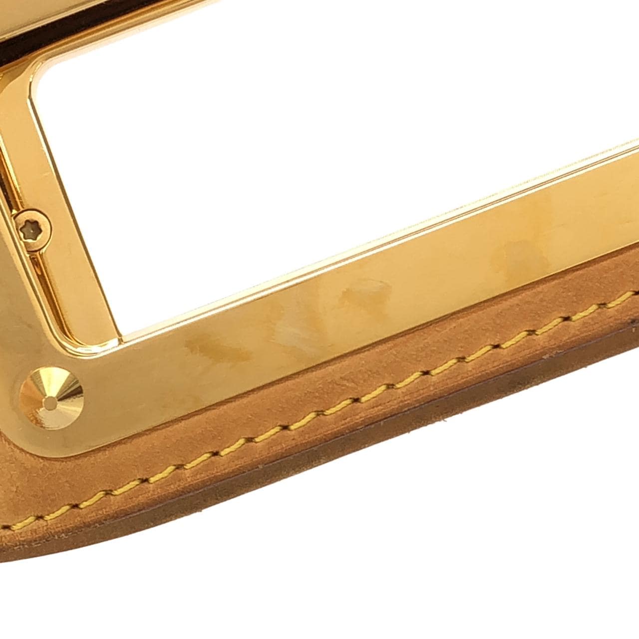 LOUIS VUITTON M40254 手提包 帆布 4
