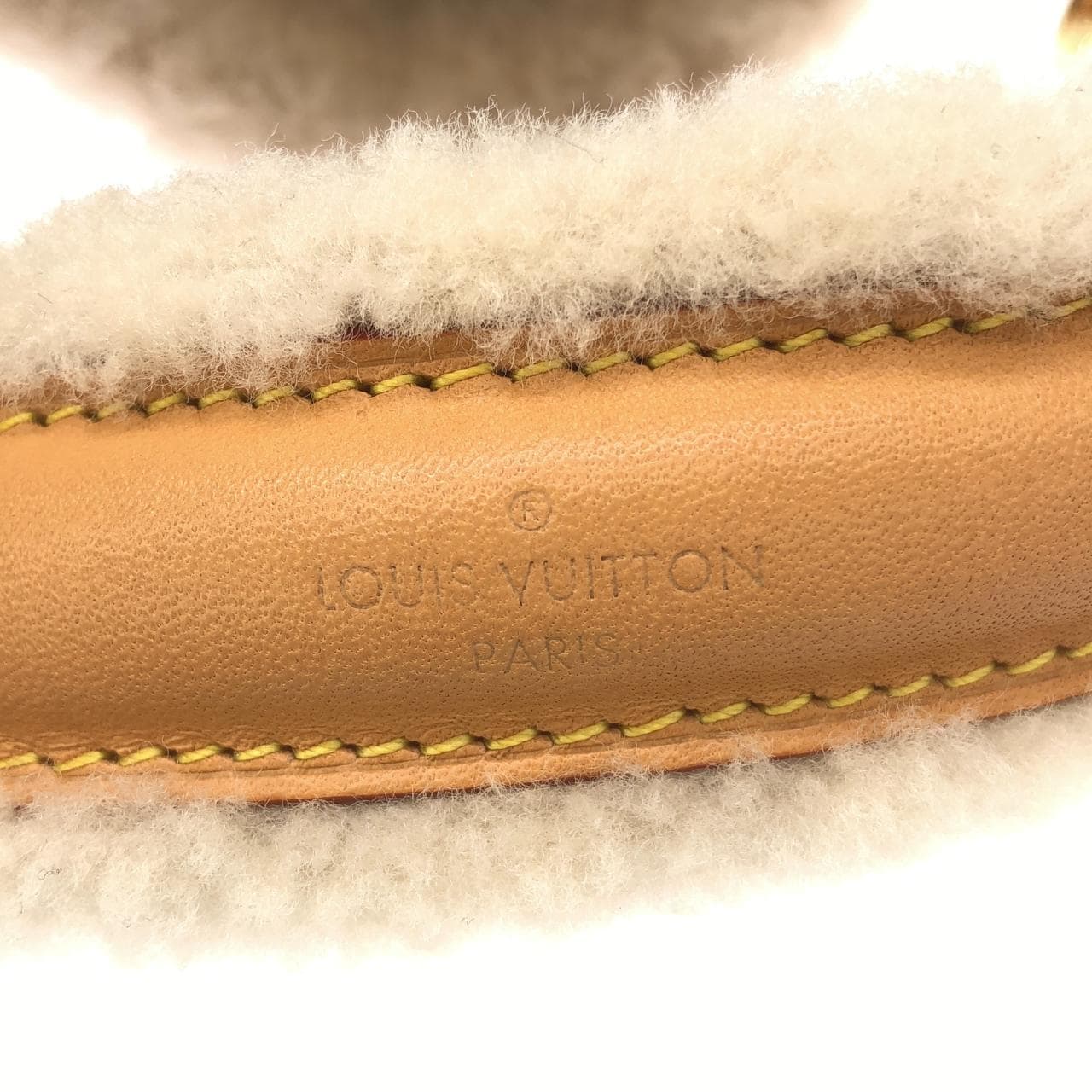 LOUIS VUITTON M46319 肩背包 Monogram 5