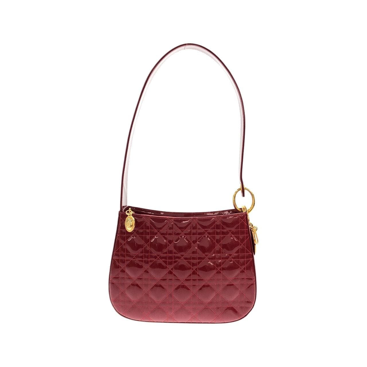 DIOR Shoulder Leather